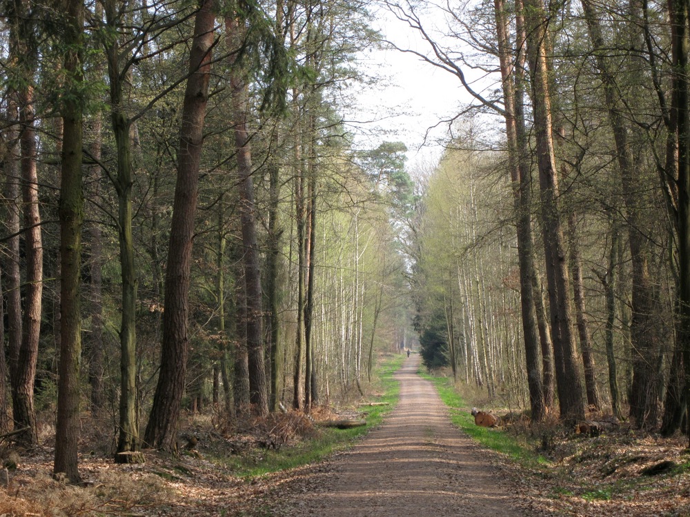 Meine Joggingstrecke