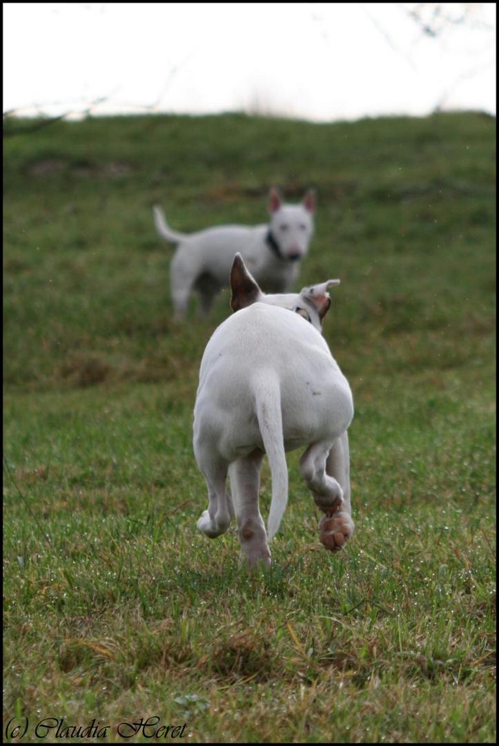 Meine Jungs...