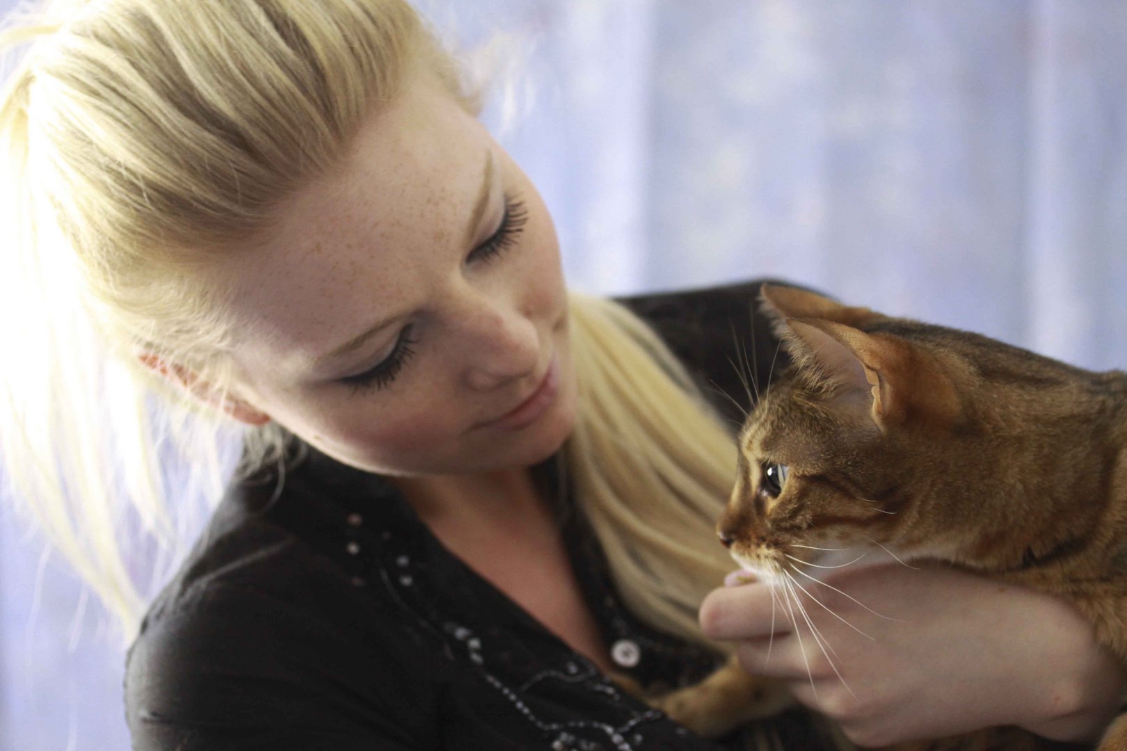 Meine Katze und ich