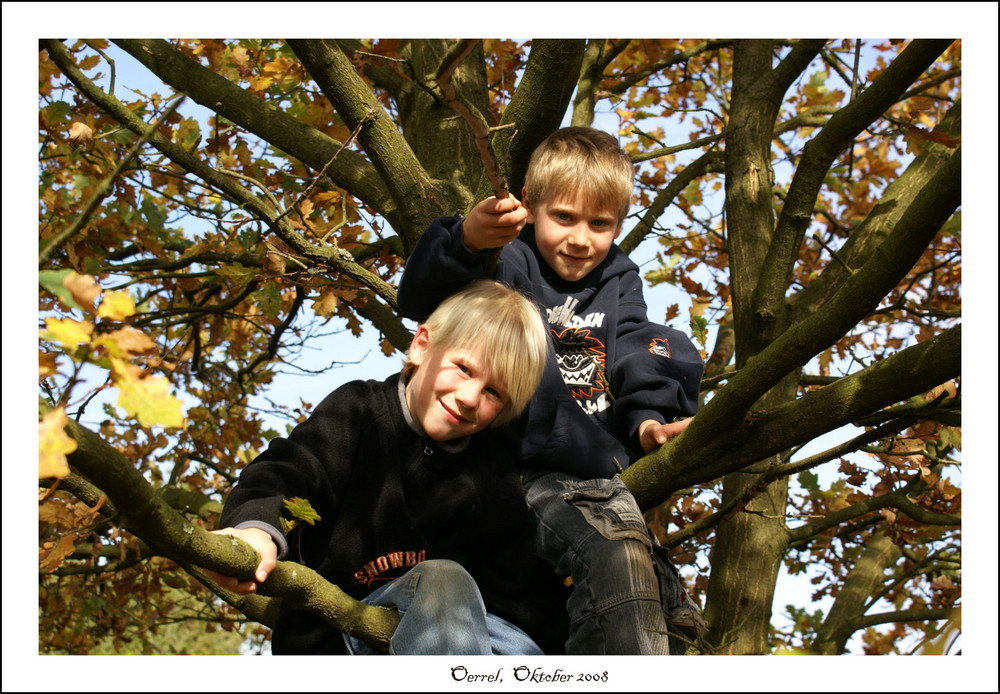 Meine Kids im Baum