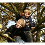 Meine Kids im Baum