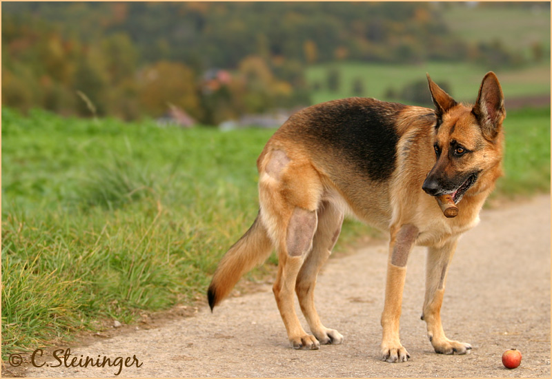 Meine Kleine....