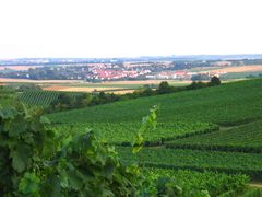 (M)eine kleine bezaubernde - lieblich /(halb)trockene - weite Welt - aus einem anderen Blickwinkel