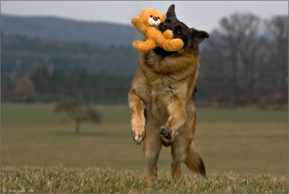 Meine " Kleine"   hat Geburtstag.....