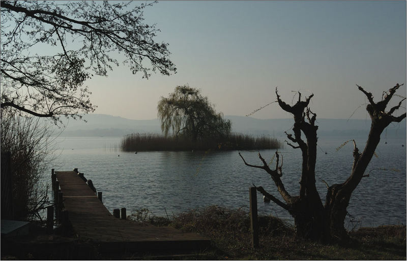 "meine" kleine Insel im Murtensee...