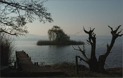 "meine" kleine Insel im Murtensee...