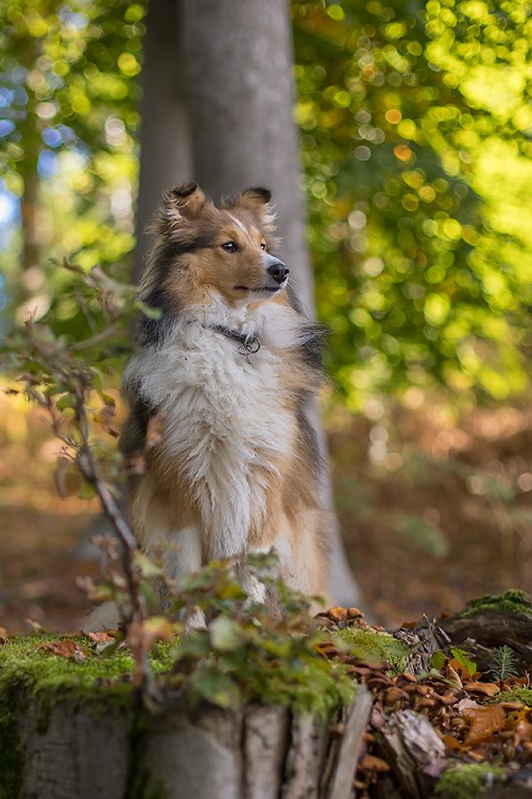 Meine kleine Prinzessin