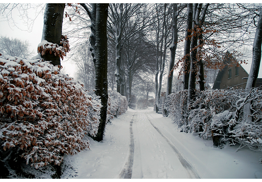 meine kleine Strasse....