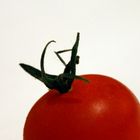 Meine kleine Tomate