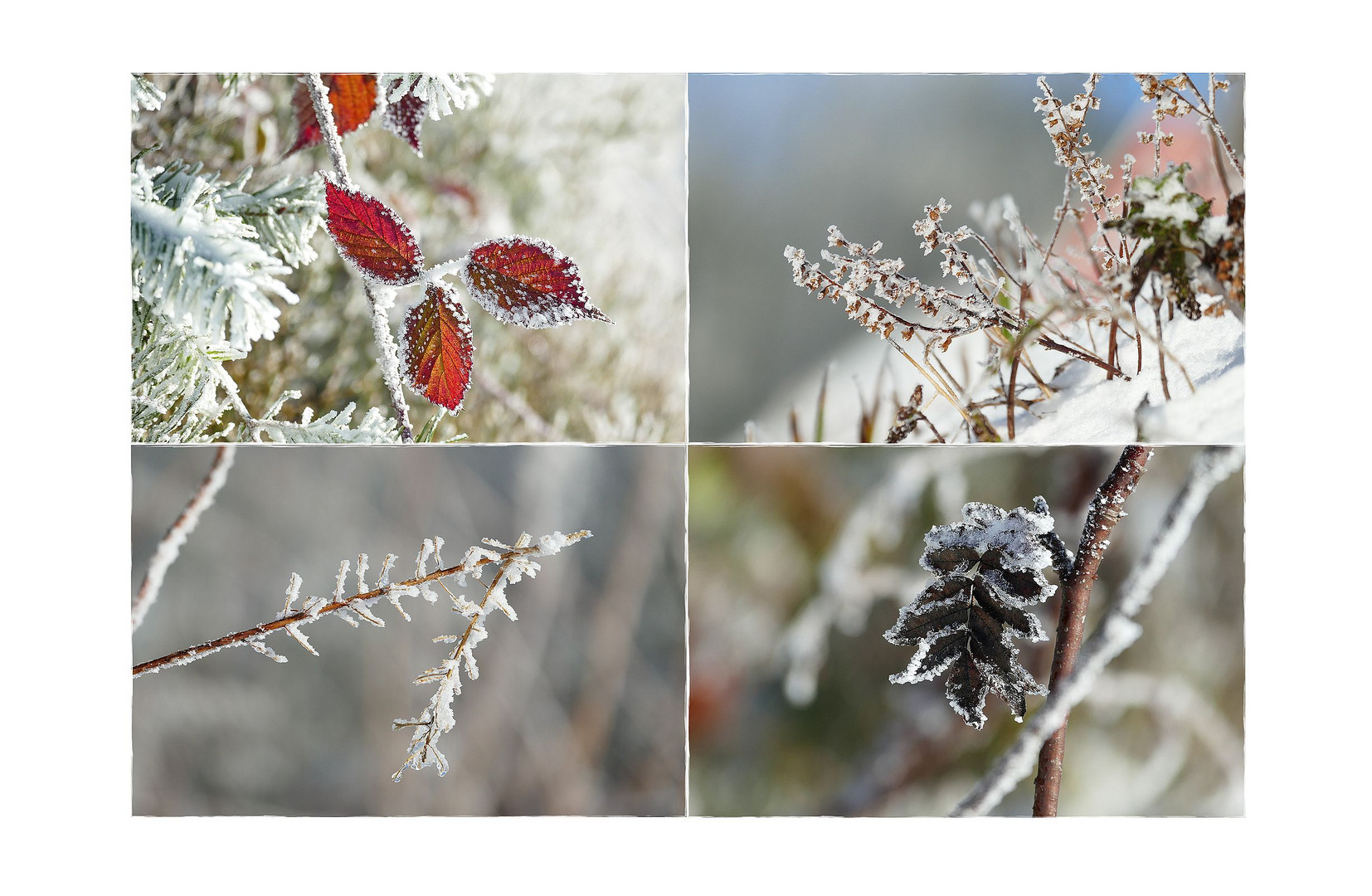 Meine kleine Winterwelt