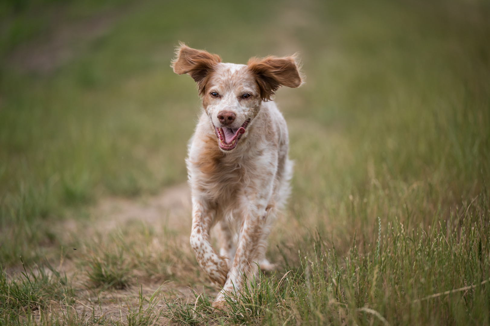 Meine Lachmaus - My laughing mouse