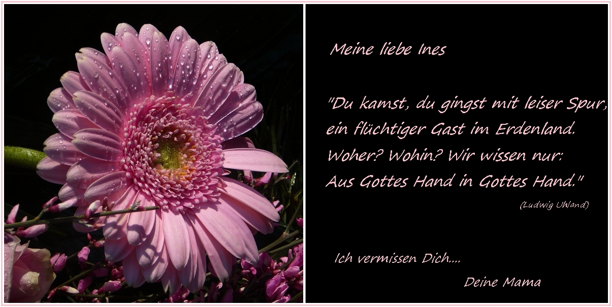 Meine liebe Ines...