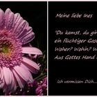 Meine liebe Ines...