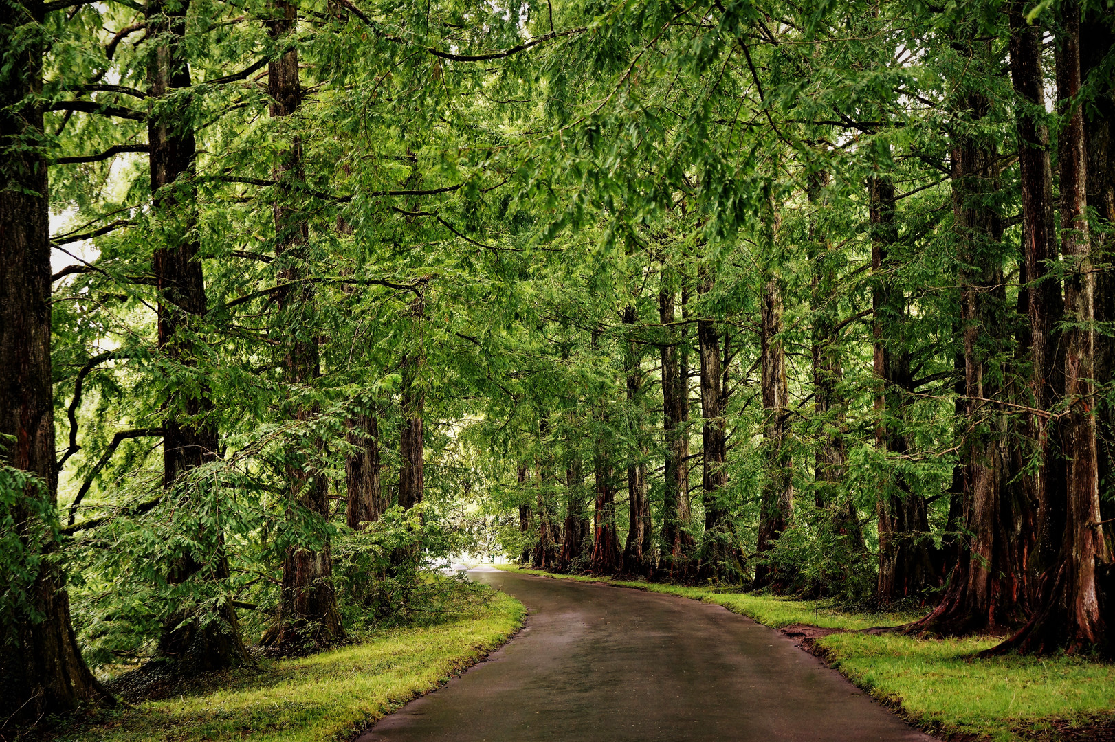 meine Lieblings- Allee