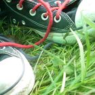 meine lieblings-chucks :)