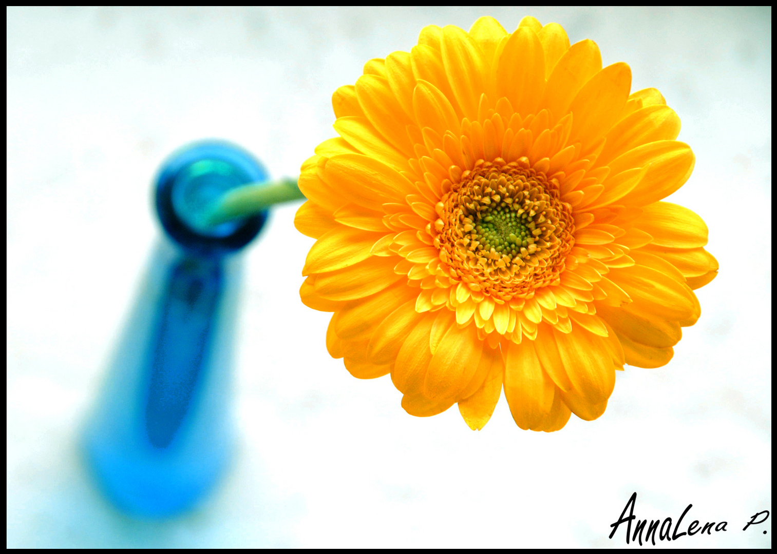 Meine Lieblingsblume =)