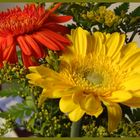 Meine lieblingsblumen und die ansprechenden farben -