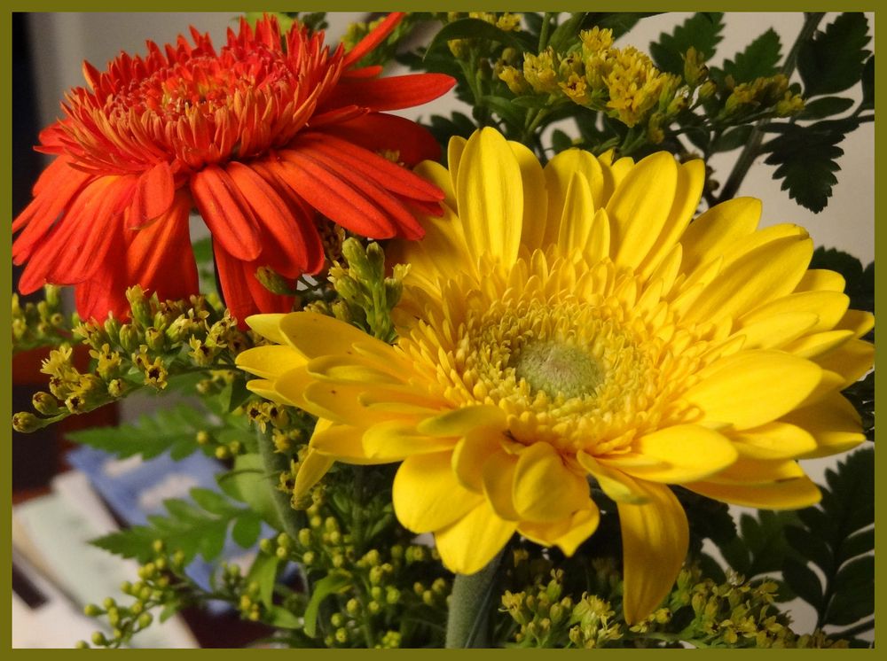 Meine lieblingsblumen und die ansprechenden farben -