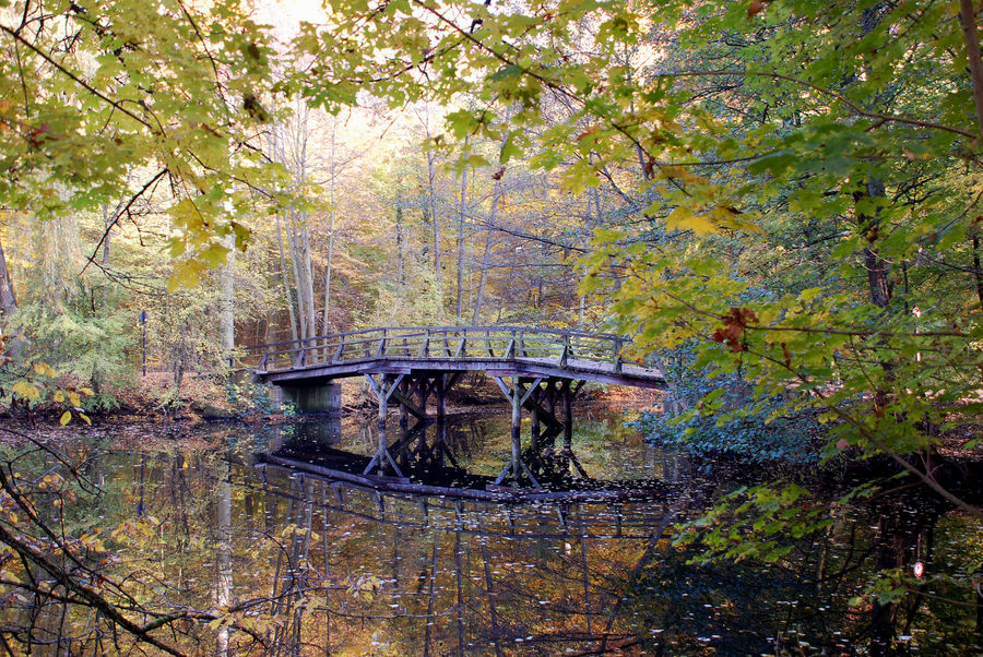 Meine Lieblingsbrücke