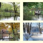 Meine Lieblingsbrücke im Branitzer Park bei Cottbus im Laufe des Jahres