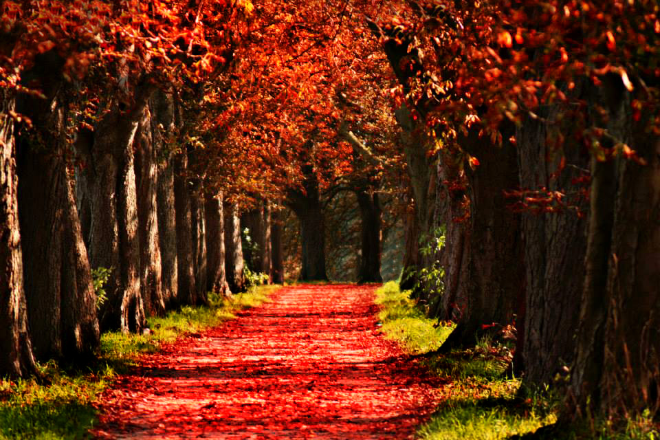 Meine Lieblingsjahreszeit - Herbst