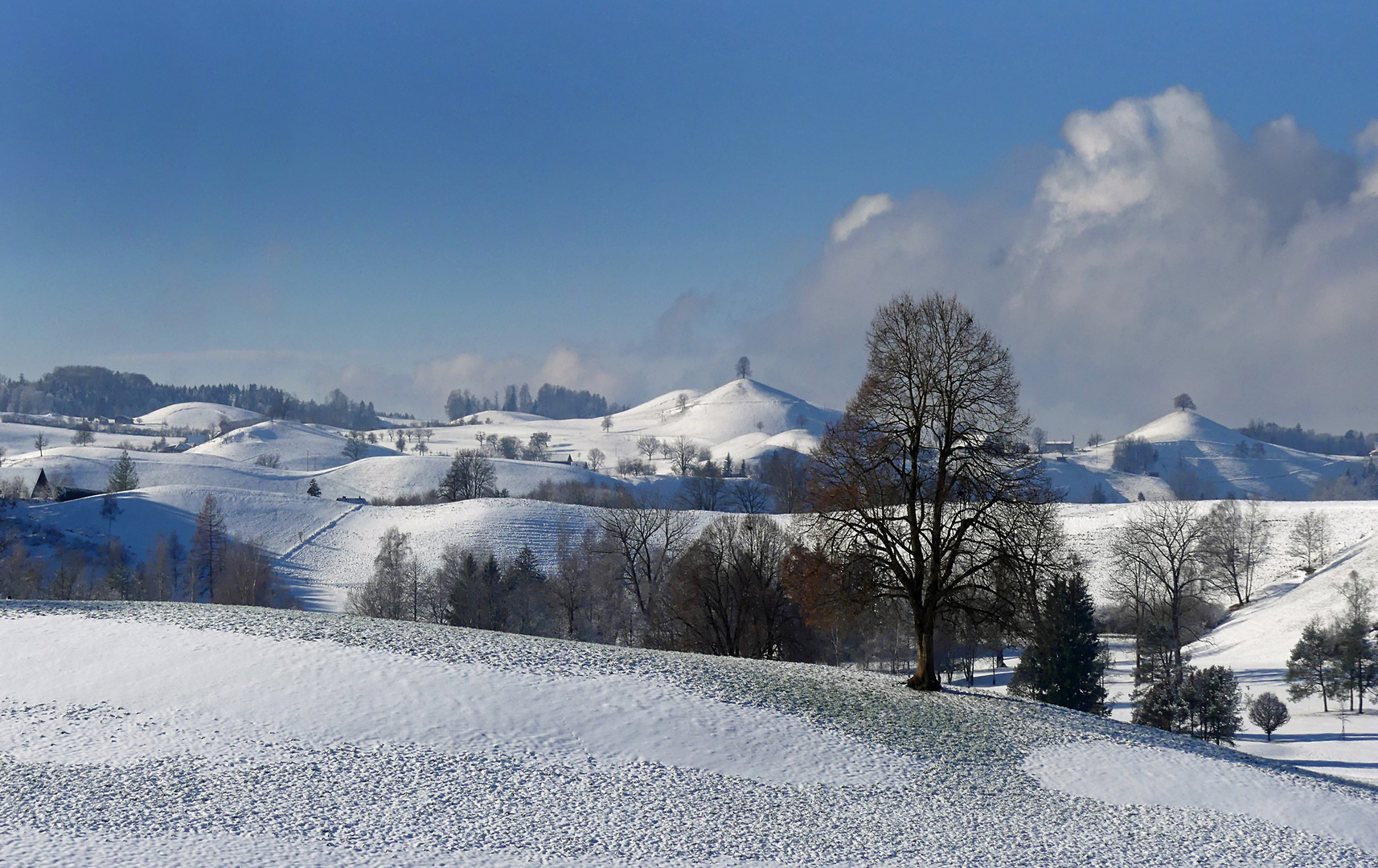 Meine Lieblingslandschaft