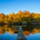 Meine Lieblingsspätherbstpanorama-Spiegelung