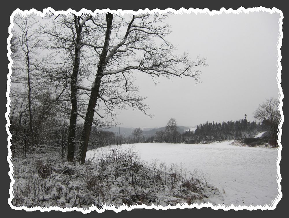 Meine Lieblingsstelle im Winter