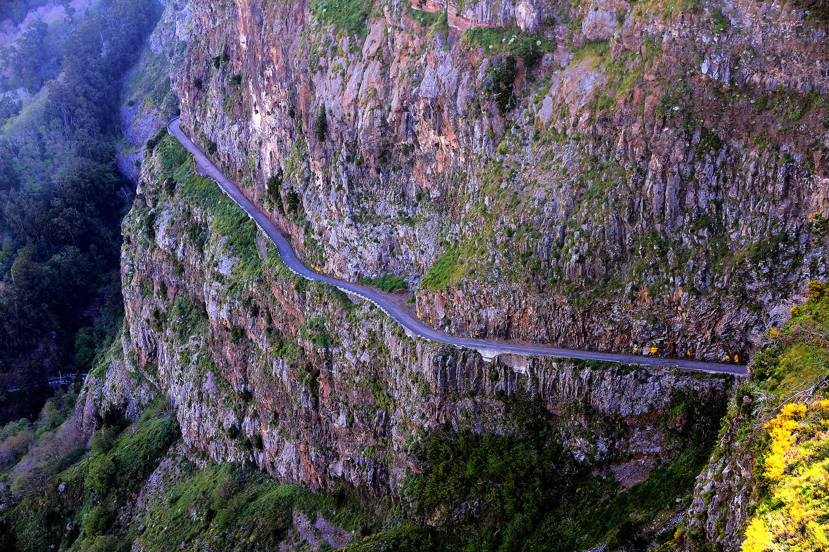 Meine Lieblingsstraße auf Madeira