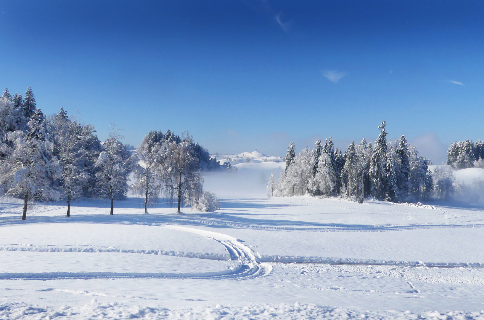 Meine liebste Schneelandschaft