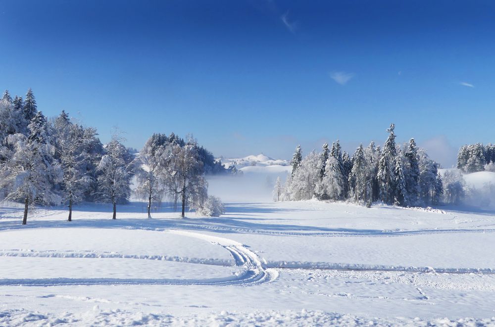 Meine liebste Schneelandschaft