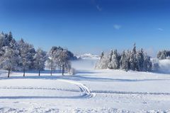 Meine liebste Schneelandschaft