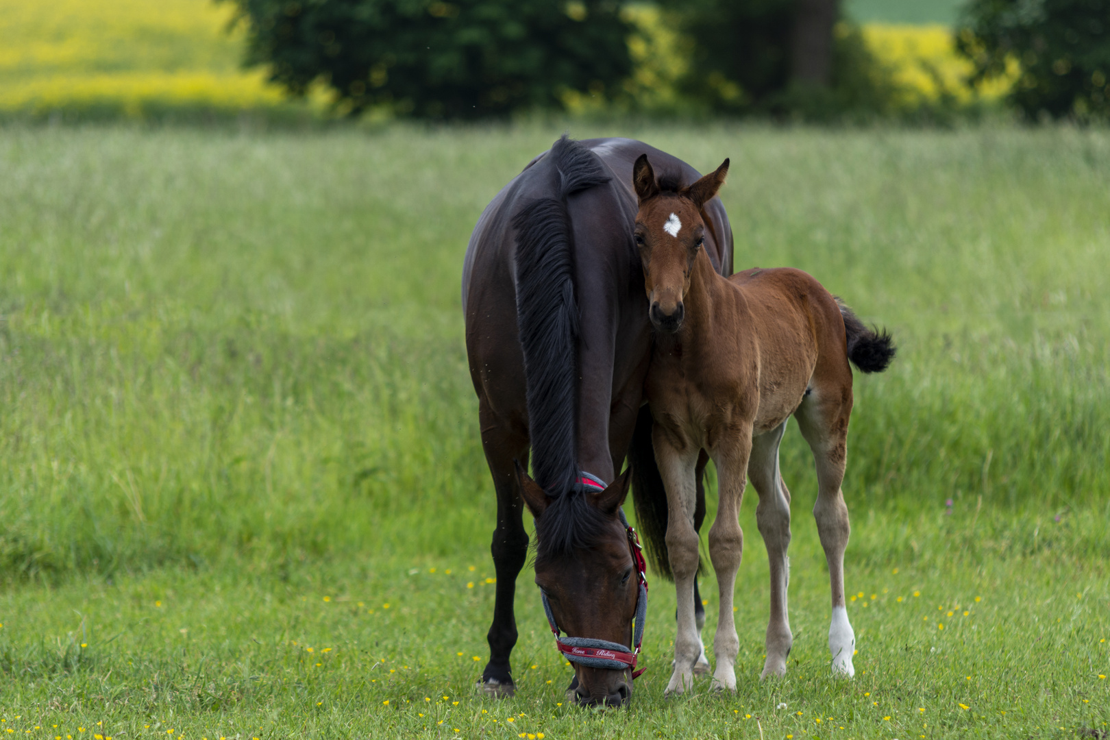 .....Meine Mama .....