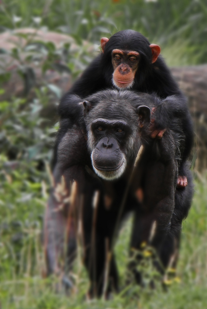 Meine Mama und ICH