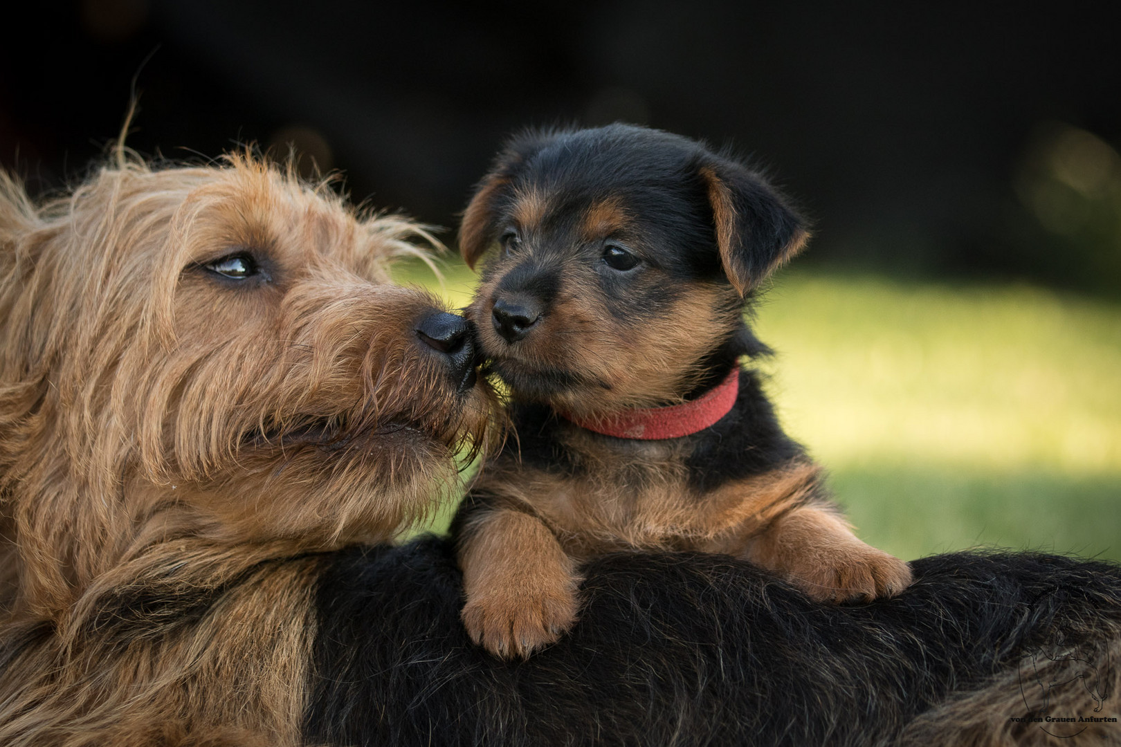 Meine Mama und ich