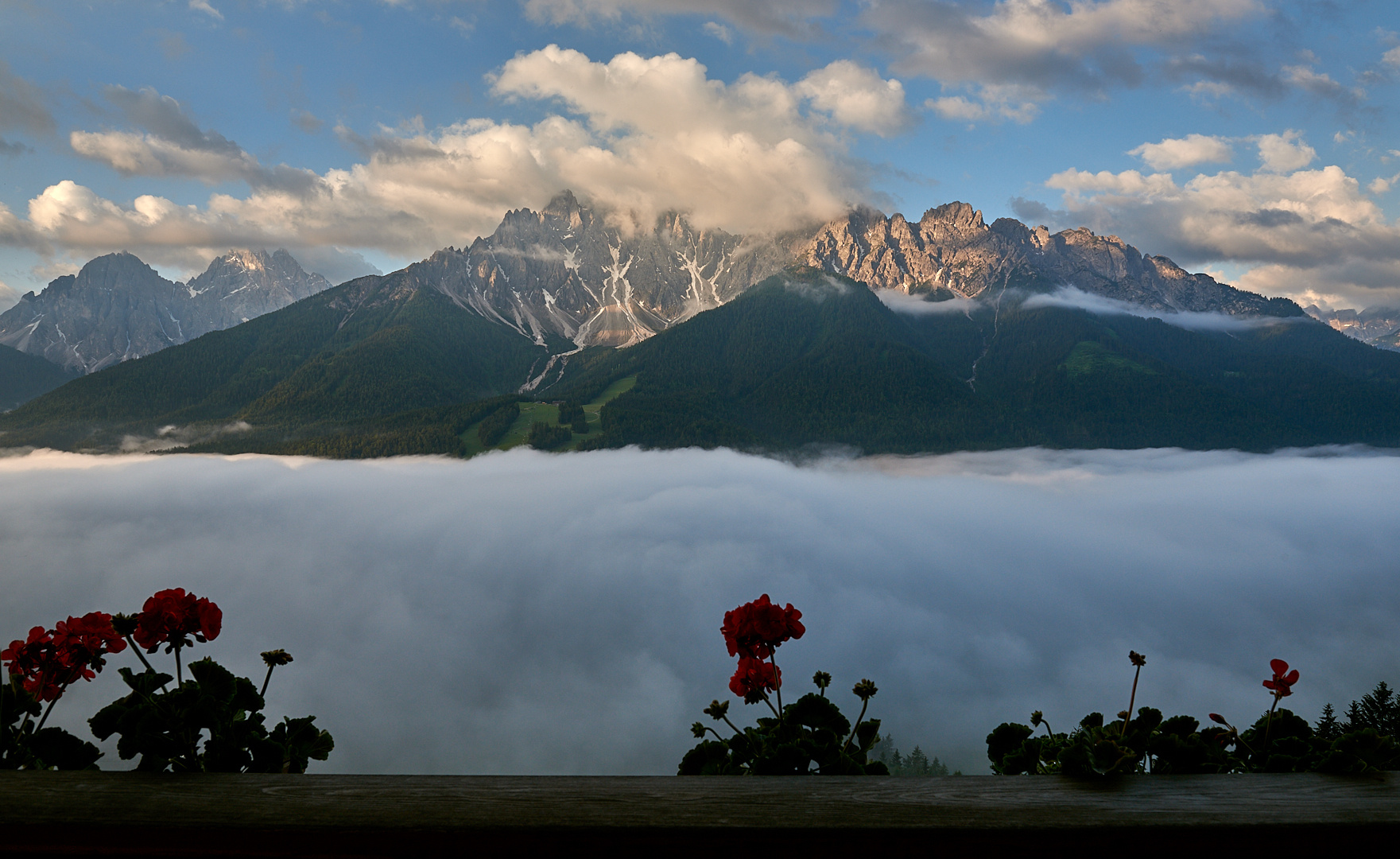 Meine Mittwochsblümchen kommen aus Südtirol, herrlich war die...