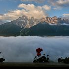 Meine Mittwochsblümchen kommen aus Südtirol, herrlich war die...