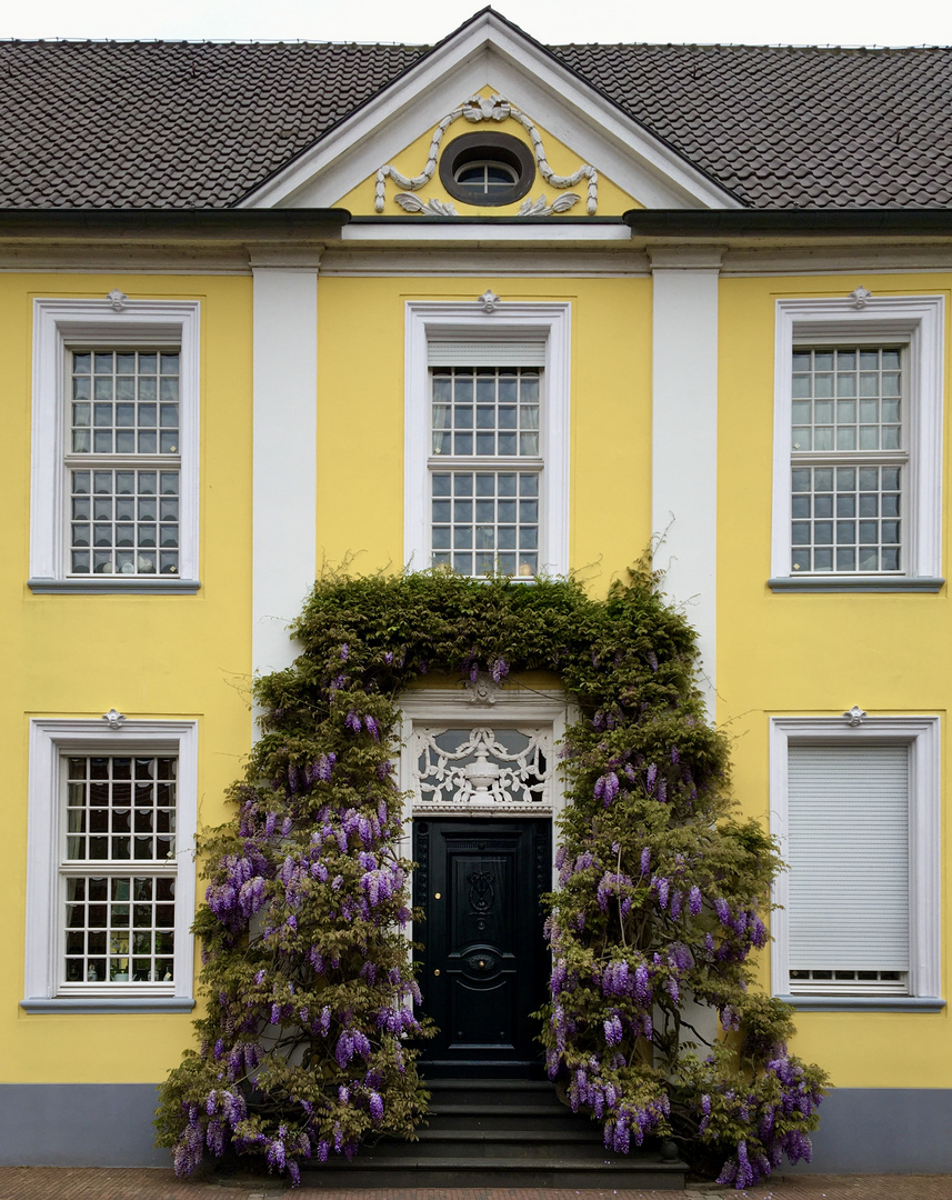 Meine Mittwochsblume ist 