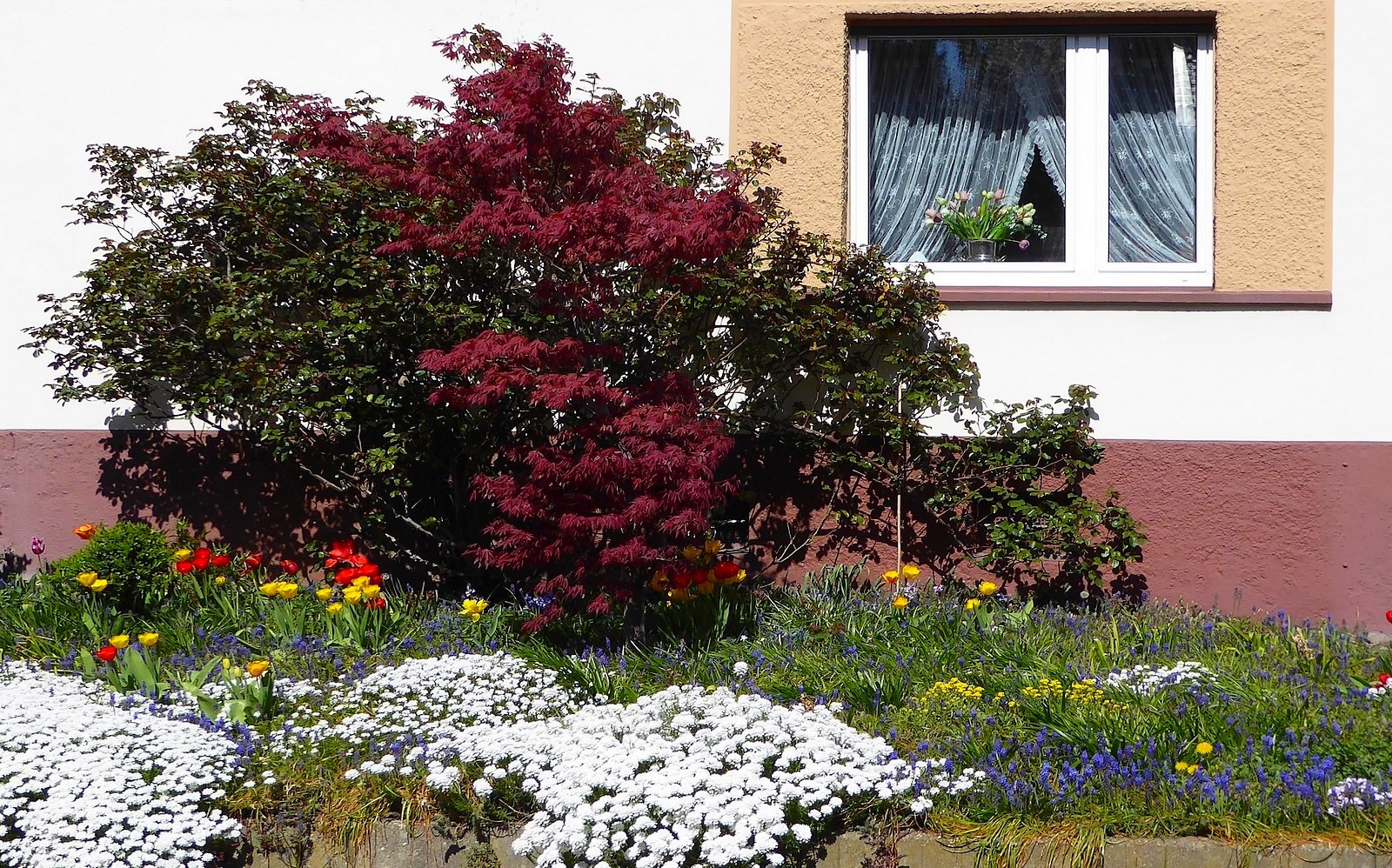 Meine Nachbarn lieben Blumen