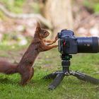 Meine Nachwuchsfotografin