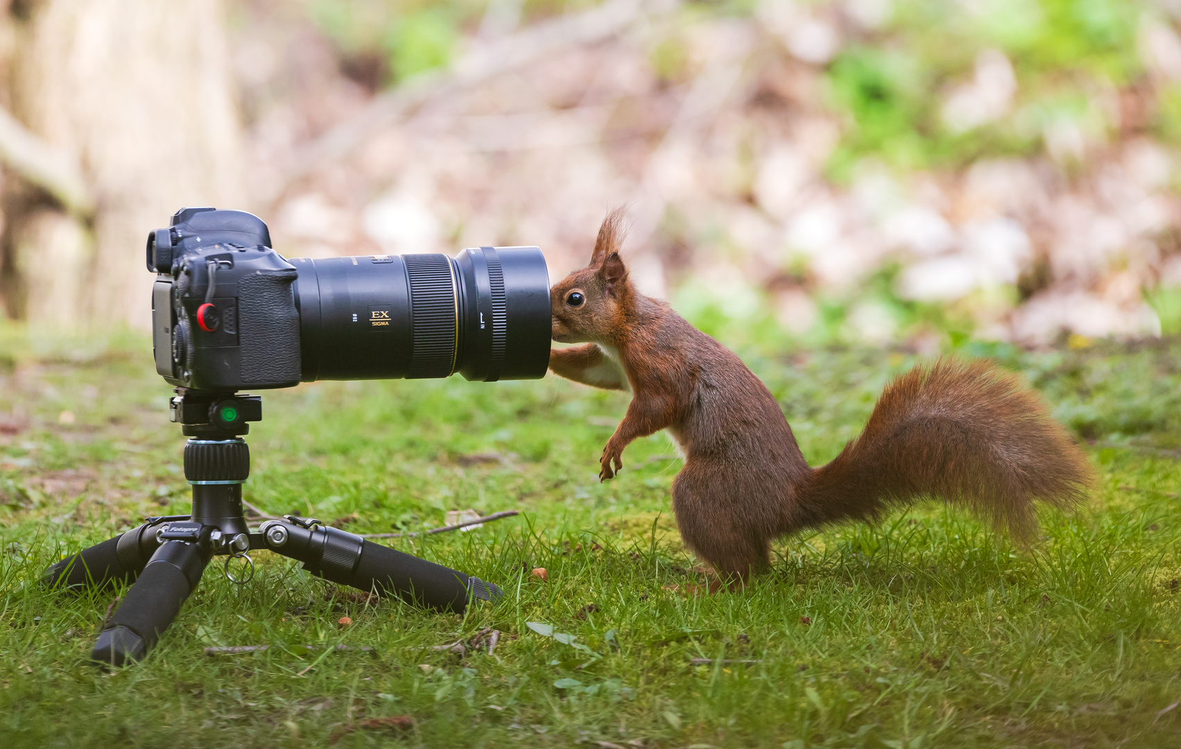 Meine Nachwuchsfotografin