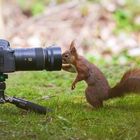 Meine Nachwuchsfotografin