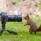 Meine Nachwuchsfotografin