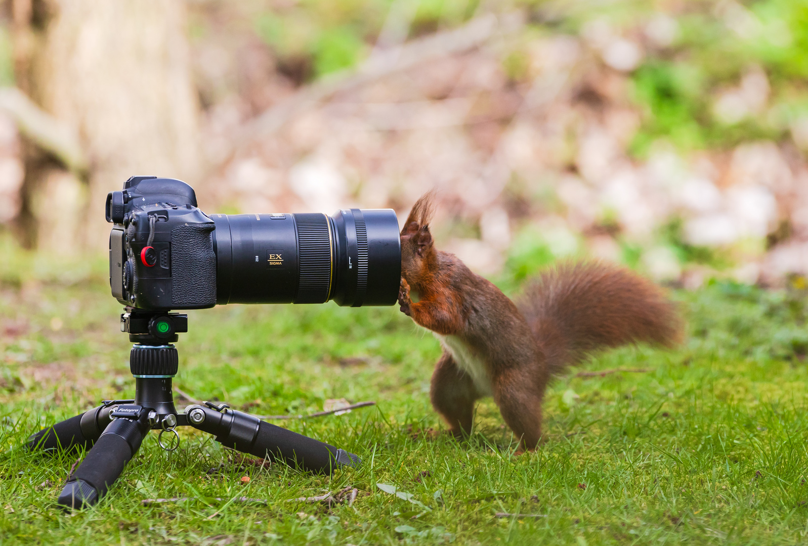 Meine Nachwuchsfotografin