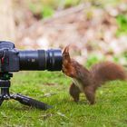 Meine Nachwuchsfotografin