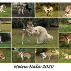 Meine Nala 2020