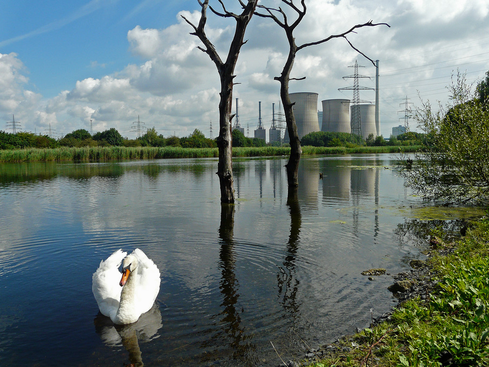 Meine Natur