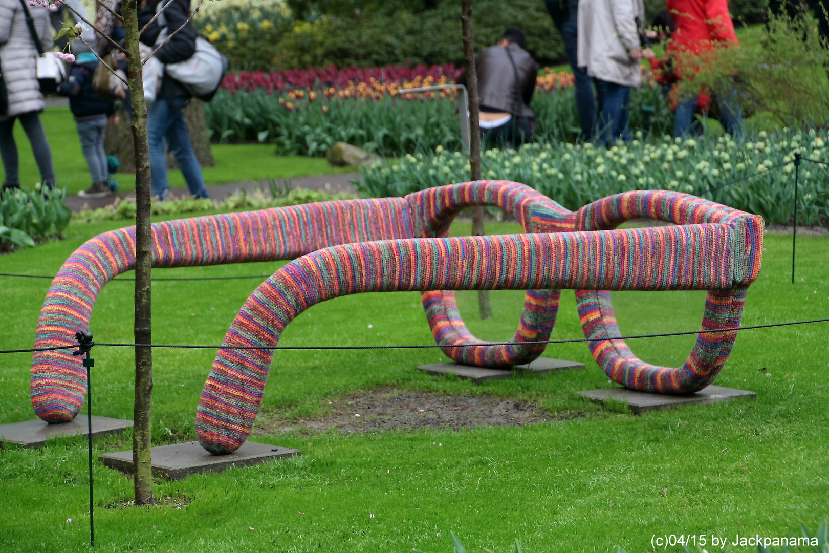 Meine neue Brille / Keukenhof - Holland 2015