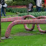 Meine neue Brille / Keukenhof - Holland 2015