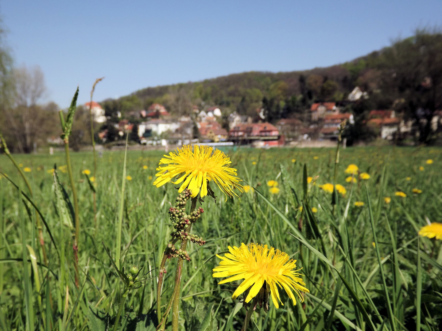 Meine neue Heimat 1